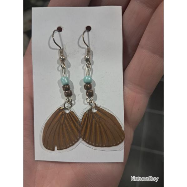 Paire de boucles d'oreilles de vraies ailes de papillon #5