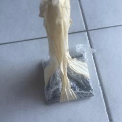 Support pour troph&eacute;e  en cr&acirc;ne