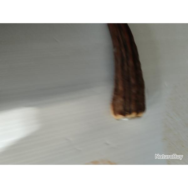 Manche pour couteau bois de cerf (8)