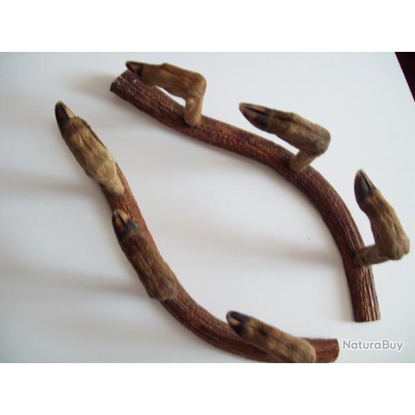 chasse beau rare r�telier fusil 3 places  support bois de cervid� et pieds chevreuil art populaire