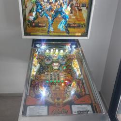 Flipper BALLY KISS de 1978 enti&egrave;rement restaurer en parfait &eacute;tat de fonctionnement