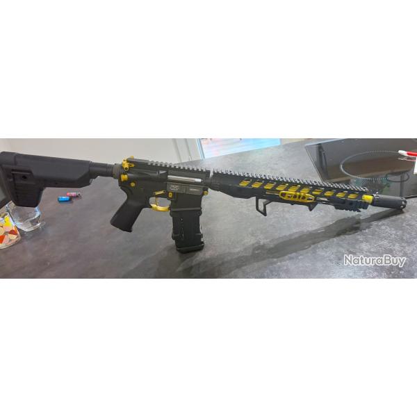 Systema PTW Supermax custom
