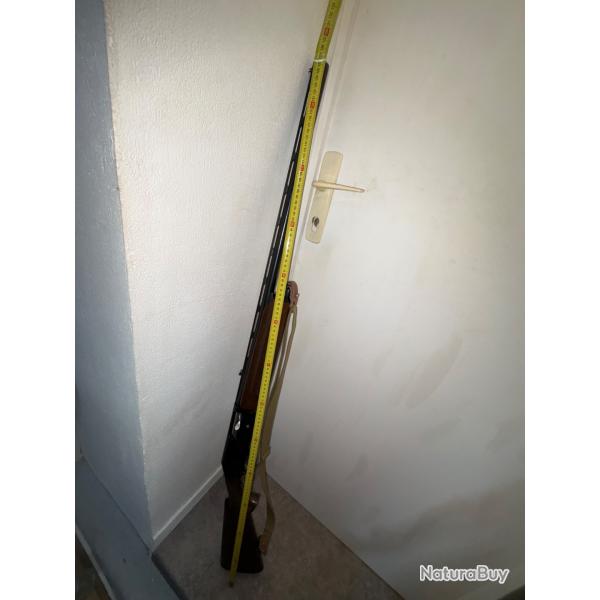 Fusil semi auto