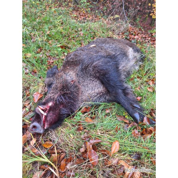 Action de chasse