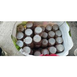 Pigments ocre lot peinture construction maison b&acirc;timent