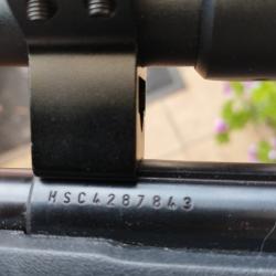 Mossberg plinkster 802