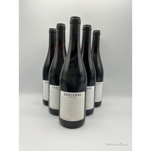 2020 Nicolas Idiart Sancerre vin rouge - 6 bouteilles