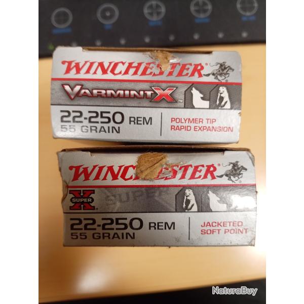 Lot de deux bo�tes Winchester de 20 munitions 22-250 REM