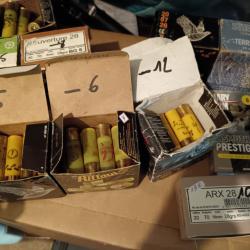 Lot cartouche calibre 20