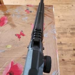 Fusil calibre 12 slug