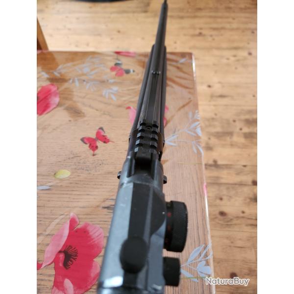 Fusil calibre 12 slug