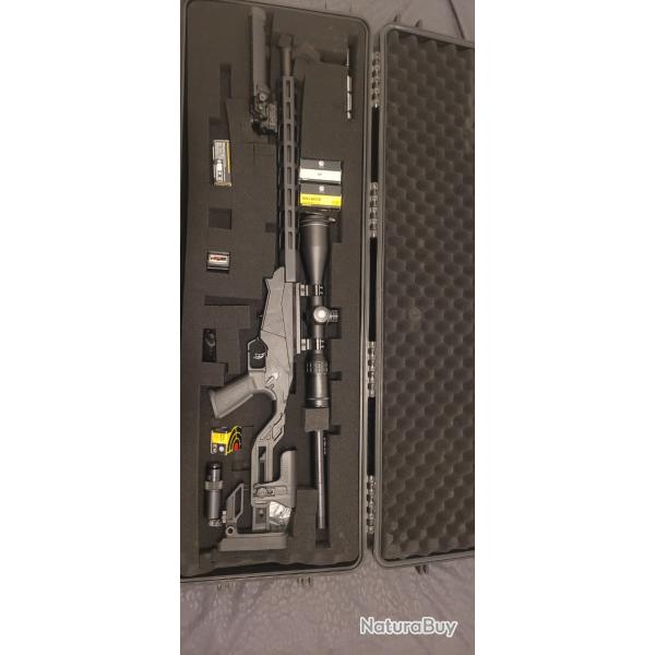 Ruger precision 22lr tout �quip�e