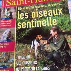 Lot de 6 &laquo;&nbsp;saint Hubert&nbsp;&raquo; magazine ann&eacute;e 2006 +hors s&eacute;rie septembre 2006