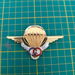 Insigne moniteur parachutiste fran&ccedil;ais