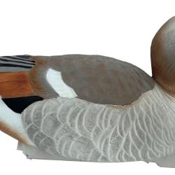 Duck Hunter Lot de 6 Appelants Flottants Oie d'Egypte - Chasse Gibier d'Eau