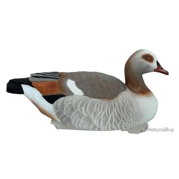Duck Hunter Lot de 6 Appelants Flottants Oie d'Egypte - Chasse Gibier d'Eau