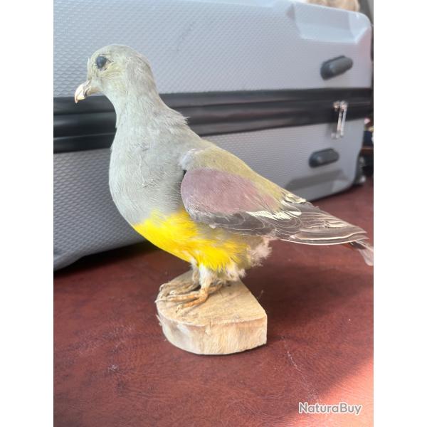 Petit gibier naturalis�