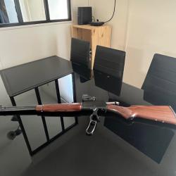 Carabine &agrave; levier sous garde marl&icirc;n 336 Classic Cal.30/30 + Holosun HS 510 C neuf + munitions