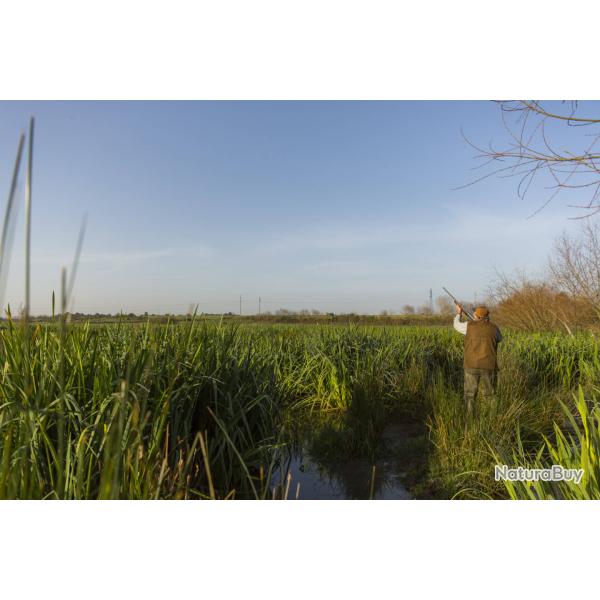 MAROC - BECASSES - BECASSINES - CANARDS - SARCELLES D'ETE - PERDRIX - CAILLES - TOURTERELLES