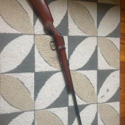 Carabine 12mm