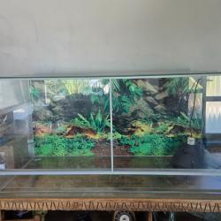 Terrarium aquavie 120&times;50&times;60cm - REMISE EN MAIN PROPRE UNIQUEMENT- PAS D'ENVOI