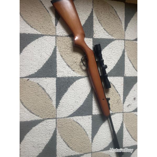Stoeger x 10 air comprim�