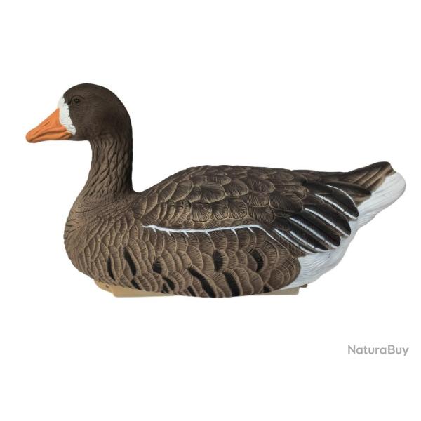 Duck Hunter Formes d'Oie Rieuse Active UHD - Lot de 6 Appelants Haute D�finition