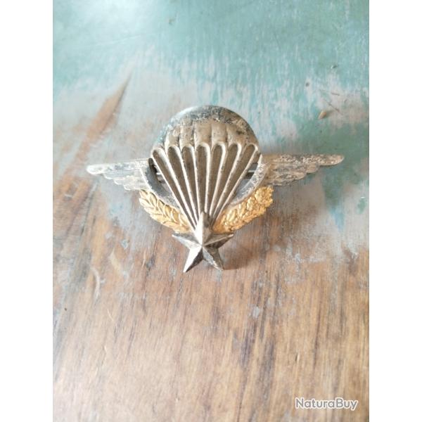 Insigne brevet para