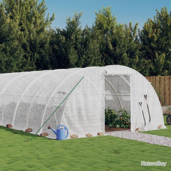 Serre avec cadre en acier blanc 24 m� 6x4x2 m