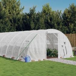 Serre avec cadre en acier blanc 48 m&sup2; 12x4x2 m
