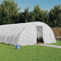 Serre avec cadre en acier blanc 60 m&sup2; 12x5x2,3 m