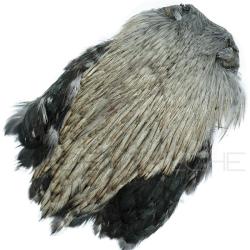 Cous de coq Dry Fly teint&eacute; gris