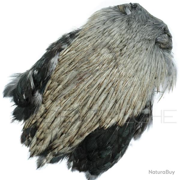 Cous de coq Dry Fly teint� gris