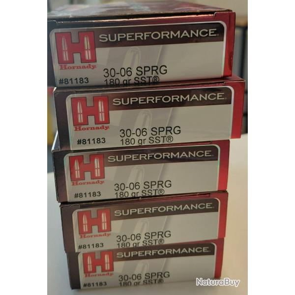 100 Munitions 30-06 sprg 180 Gr SST - Destockage