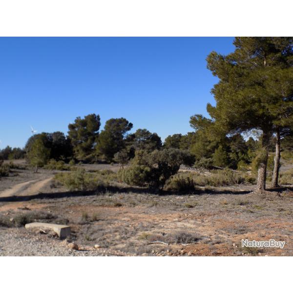 MONTERIA EN CASTILLA LA MANCHA