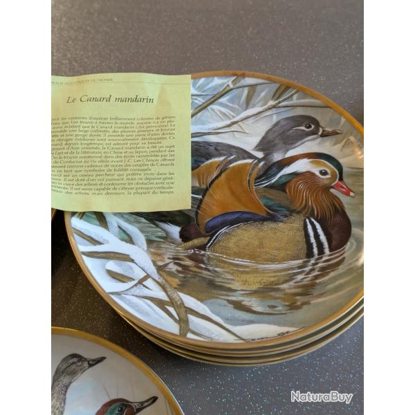 Collection compl�te de 12 assiettes Franklin Porcelain - Water Birds of the World - Basil Ede
