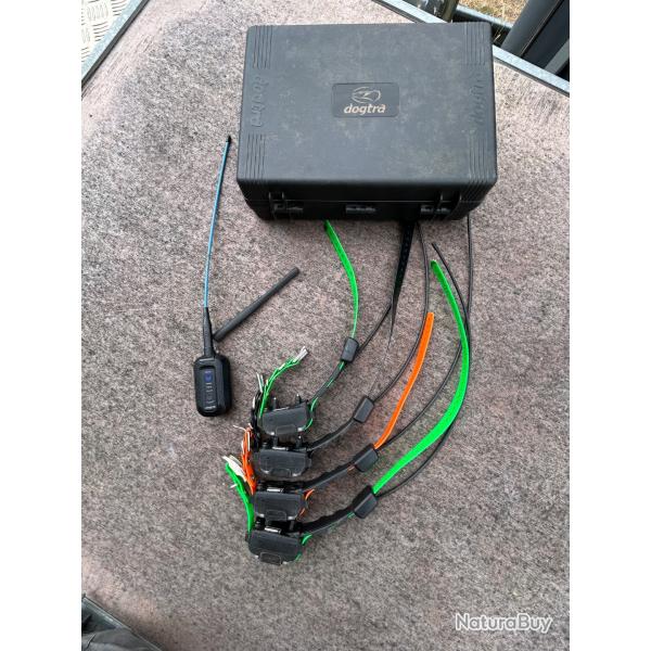 Dogtra Pathfinder mini