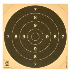 Cible 21x21 x100