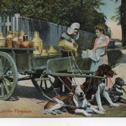 Carte postale La Laiti&egrave;re Flamande N&deg;8301