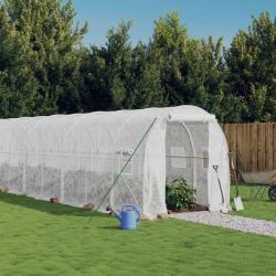 Serre avec cadre en acier blanc 24 m&sup2; 12x2x2 m