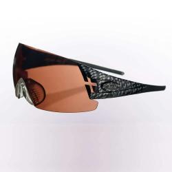Lunettes Master - Branches seules Branches Doubles, Carbone
