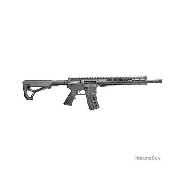 Carabine semi auto sabatti sar ar-15 cal 223 rem 10 coups Plaintel