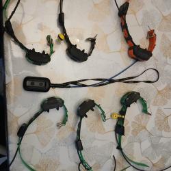 5 Colliers dogtra pathfinder 1 mini + centrale antenne pluton