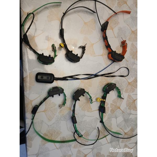 5 Colliers dogtra pathfinder 1 mini + centrale antenne pluton