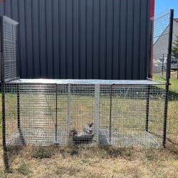 Cage &agrave; renards 2 entr&eacute;es avec 2 compartiments + un espace pour appelant
