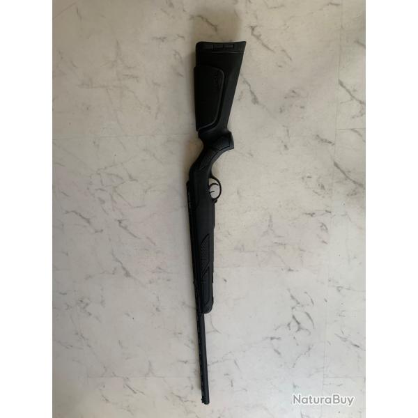 Carabine aire comprim�