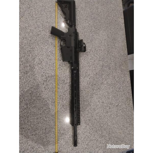 Carabine Troy cal.308