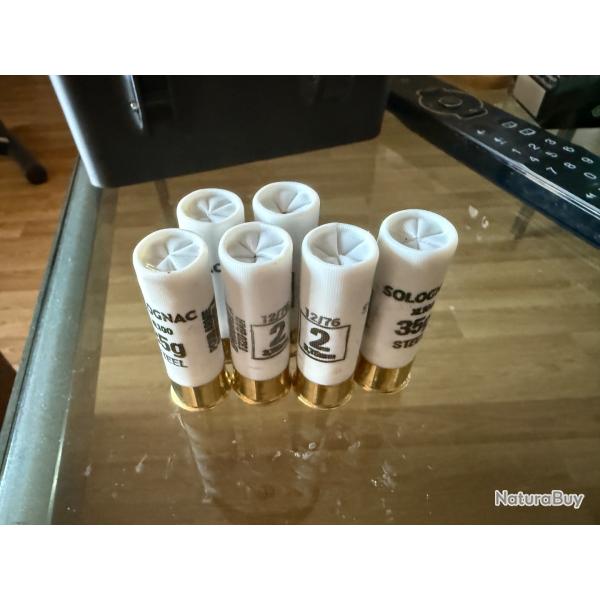Vends 19 cartouches 12/76 steel cal 2 diam 3.75mm