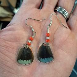 Paire de boucles d'oreilles de vraies ailes de papillon #7