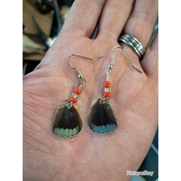 Paire de boucles d'oreilles de vraies ailes de papillon #7